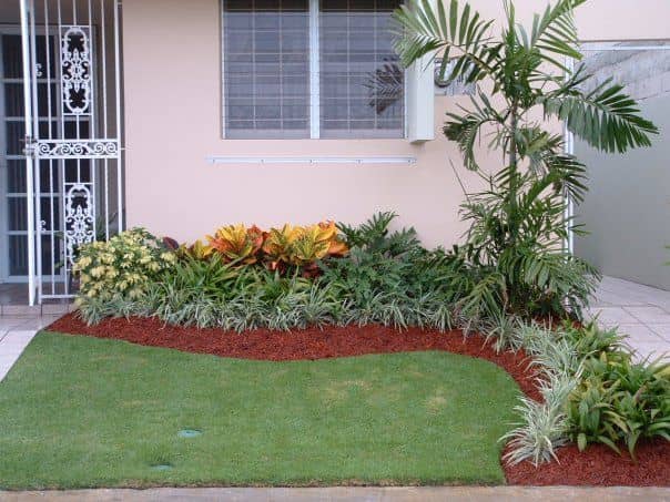 Jardinería Profesional