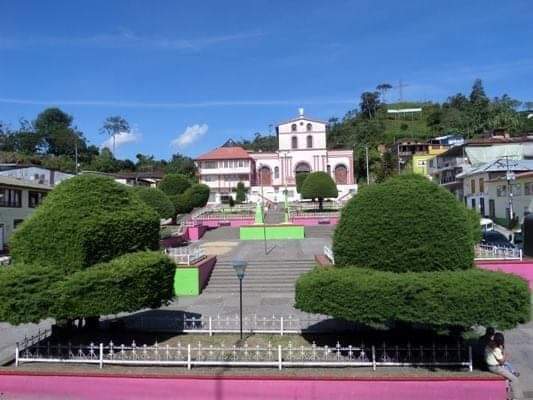 Poda de arboles Bogotá
